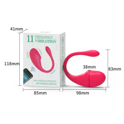 Vibrador con control a distancia