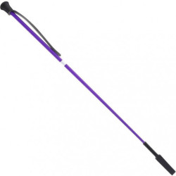 Fusta azotadora color violeta